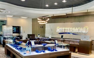 The Jewelry Store Image